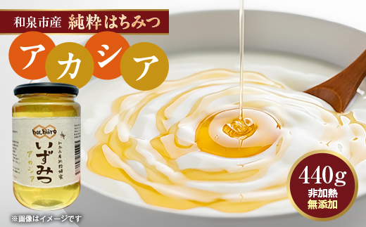 【1種】 いずみつアカシア 440g【1502153】