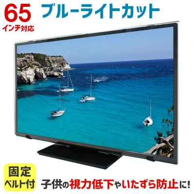 65MBL5　65インチ用　テレビ画面保護パネル　ブルーライトカットタイプ　位置調整用スペーサー付【1669382】