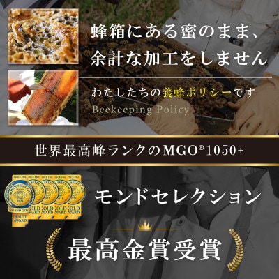 【毎月定期便】ストロングマヌカハニー【MGO1050+】500g×2個　全3回【配送不可地域：離島】【4050119】