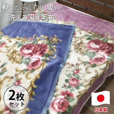 【シングルサイズ2枚組】洗える やわらか軽量アクリル毛布  MO-601-2P【1507151】