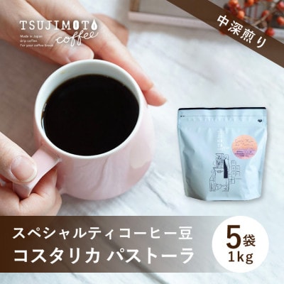 スペシャルティコーヒー豆 　コスタリカ パストーラ1kg(200g×5袋)豆のまま中深煎り　辻本珈琲【1535834】