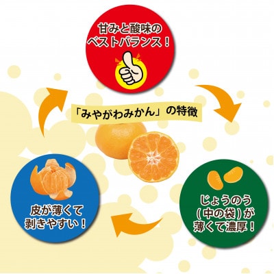 ã2027幎1æé 次çºé!ã100幎以äžç¶ãã¿ãã蟲家ãã€ãããã¿ãã(宮巿©ç)ãçŽ5kgãé
éäžå¯å°åïŒé¢å³¶ãã1738394ã
