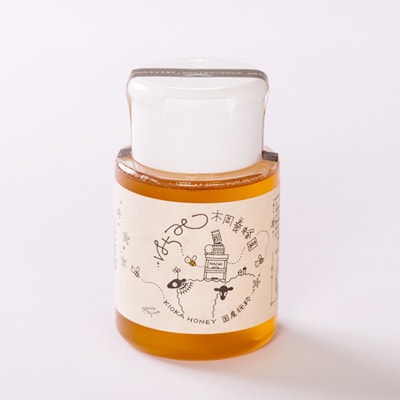 道の駅で大人気のハチミツ(使い勝手の良いプラ容器300g×1本)【1712432】