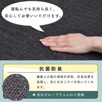 カーペット 江戸間 3畳 防音 抗菌防臭 厚手 ツワブキ 176×261cm ブラック 日本製【1638800】