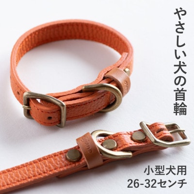 首輪 本革 イタリアンレザー オレンジ 小型犬用 (26-32センチ)ペット用品【dc-01ss】【1663106】