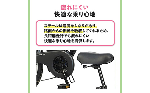 PELTECH 20インチ 折り畳み電動アシスト自転車 外装6段変速【簡易組立必要品】ブルー【配送不可地域：沖縄県】【1672081】