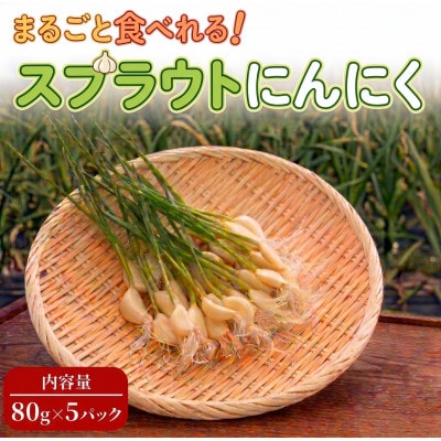 【9月中旬から4月中旬の発送】まるごと!スプラウトにんにく(80g×5パック)栄養満点スーパーフード【配送不可地域：離島】【1735505】