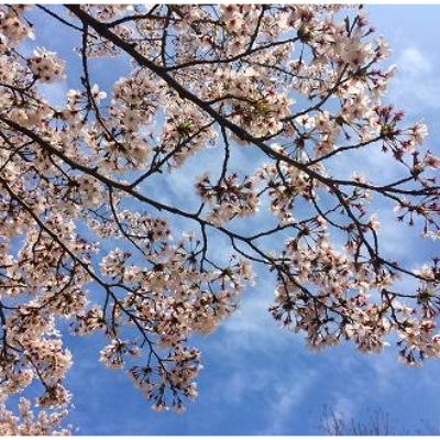 å¹žãæºéãç¹éžã»ãããã®æ°Žæ¶ãã¬ã¹ãé
éäžå¯å°åïŒæ²çžçãã1215025ã