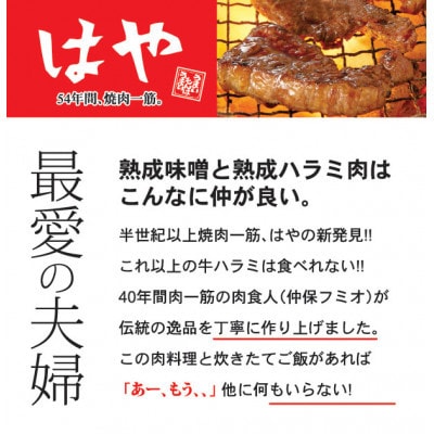 【毎月定期便】「50年の技が光る」老舗焼肉店の秘伝のタレに漬け込んだハラミ350g4パック全3回【配送不可地域：離島】【4064133】