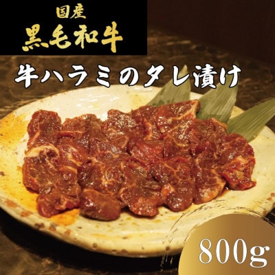 【冷凍】自家製もみダレで漬けたタレ漬け王道!牛ハラミ(さがり)800g(400g×2)　焼肉ほうせん【配送不可地域：離島】【1709891】