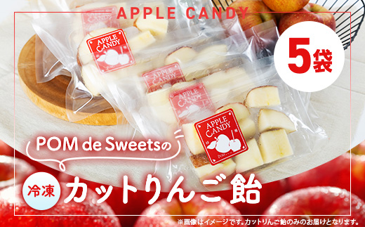 和泉市丸カットりんご飴100g×5袋(冷凍)【配送不可地域：離島】【1550964】