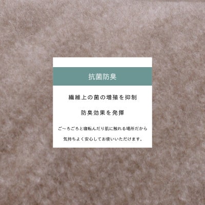 カーペット 江戸間 6畳 防音 ペット対応 厚手 ナンテン 261×352cm グレージュ 日本製【1525640】