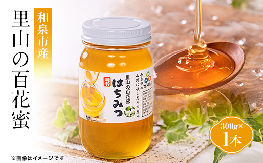 道の駅で大人気のハチミツ(300g瓶詰×1本)【1657681】