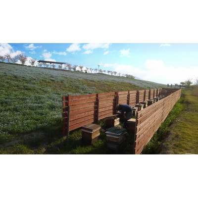 蜥梧ウ牙クら肇邏皮イ九ッ縺。縺ソ縺、 縺縺壹∩縺、 140g縲1663248縲