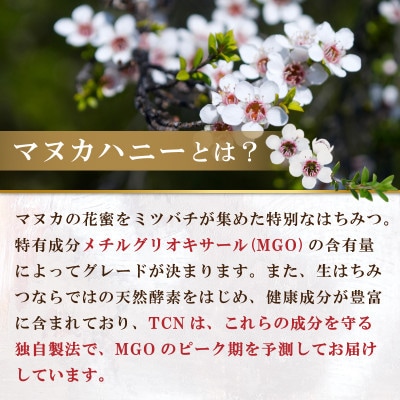 インカナム マヌカハニー 500g  MGO 550+　3個セット【1701607】