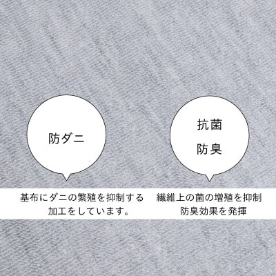 防ダニ カーペット 4.5畳 日本製 抗菌防臭 ノースポール 江戸間 261×261cm グレー【1639005】