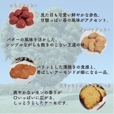 お菓子詰め合わせBセット　クッキー・パウンドケーキ・コーヒーセット　コーヒーカップ付　はつが野テラス【1696657】