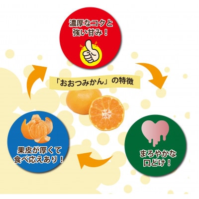 ã2027幎1æé 次çºé!ã100幎以äžç¶ãã¿ãã蟲家ãã€ãããã¿ãã(倧接4å·)ãçŽ5kgãé
éäžå¯å°åïŒé¢å³¶ãã1738393ã