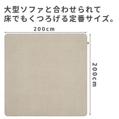 最大82%の音をカットする防音ラグカーペット「防音専科」ホワイト ベージュ 200×200cm【1482894】