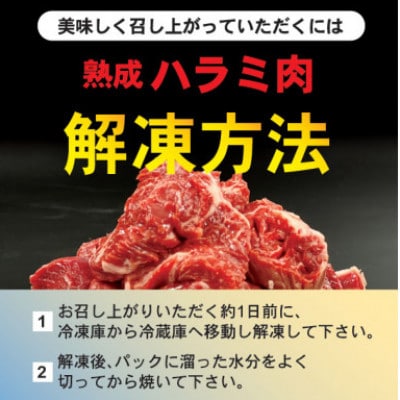 【2ヵ月毎定期便】50年の技が光る老舗焼肉店の秘伝のタレに漬け込んだ　ハラミ350g4パック　全3回【配送不可地域：離島】【4064134】