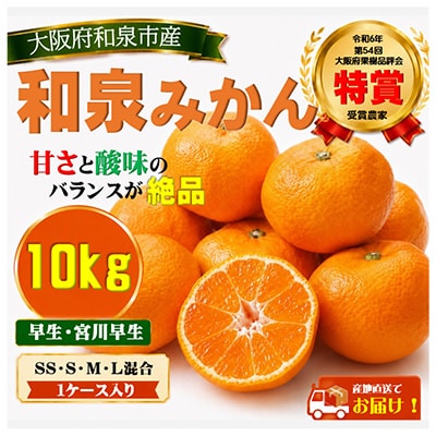 先行予約　大阪府和泉市産 宮川早生 和泉みかん 1ケース10Kg 11月中頃より発送【1606250】