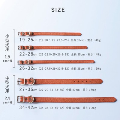 首輪 本革 イタリアンレザー グリーン 小型犬用 (19-25センチ)ペット用品【dc-01ss】【1661885】