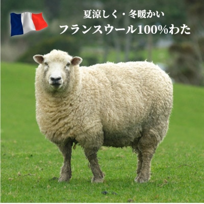 【シングル】フランスウール100%羊毛わたベッドパッド(100×200cm) WB-10【1421275】