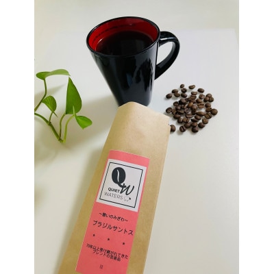 直火自家焙煎　ブラジルサントス(豆)【1666068】