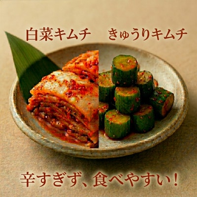 本場韓国の味!2種キムチ詰め合わせ(白菜・きゅうり)各2パック　国産野菜使用!無添加【配送不可地域：離島】【1732230】