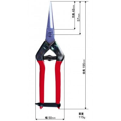 【ステンレス芽切・摘果鋏】◇近正のハサミ T-55SH【1499983】