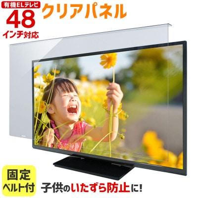 大阪府和泉市　有機ELテレビ48インチ用　テレビ画面保護パネル　クリアタイプ　テレビガード【1669374】