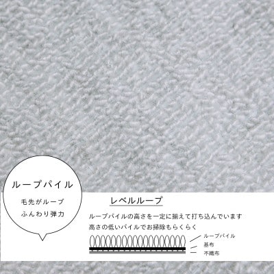 防ダニ カーペット 6畳 日本製 抗菌防臭 ノースポール 江戸間 261×352cm グレー【1639009】