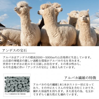 【シングルサイズ】アンデスの宝石 アルパカ100%(毛羽部分)毛布 140×200cm AL-S【1664935】