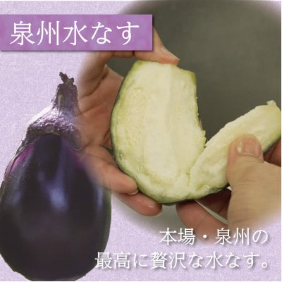 お裾分けやまとめ買いに最適 泉州特産職人仕込みの水ナスぬか漬け大満足8個入り 毎日変わる食べ頃【配送不可地域：離島】【1745070】