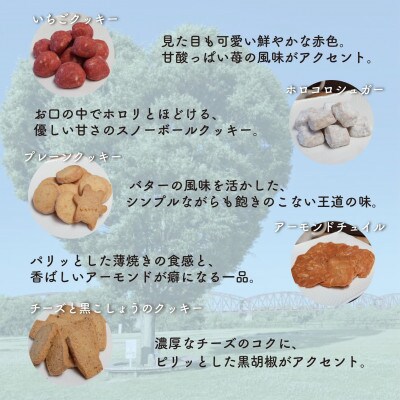 お菓子詰め合わせDセット　クッキー・パウンドケーキ・コーヒーセット　コーヒーカップ付　はつが野テラス【1696659】