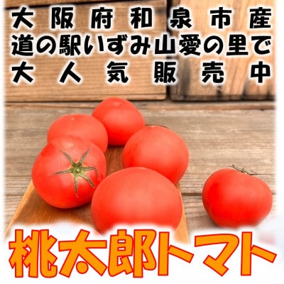 桃太郎トマト 約1kg(5〜6玉) 大阪府　和泉市　道の駅いずみ山愛の里【配送不可地域：離島】【1525132】