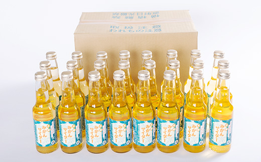 和泉市産みかんを使用!道の駅で大好評のみかんサイダーを24本セットで!【1607363】