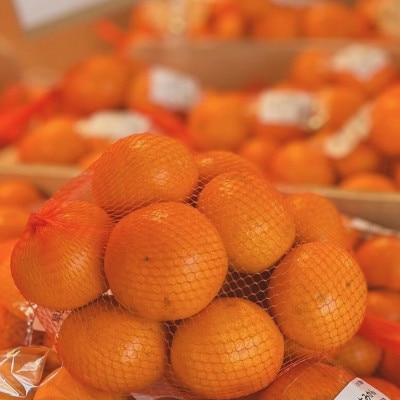 和泉のめぐみ・山愛みかん(M〜2Lの混合・約5kg)【1695776】