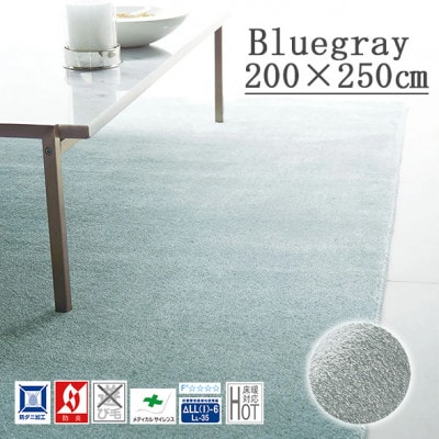 カーペットラグ 【200×250cm】 なめらかタッチ (カーム) ブルーグレー【1731853】