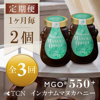 【毎月定期便】インカナム マヌカハニー【MGO550+】500g×2個　全3回【配送不可地域：離島】【4050138】