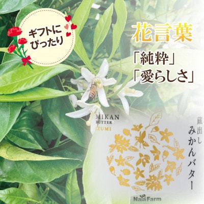 OSAKA PRIDE PRODUCTS2025選定!スプレッド詰め合わせ(みかん・れもん)ギフト【1739268】