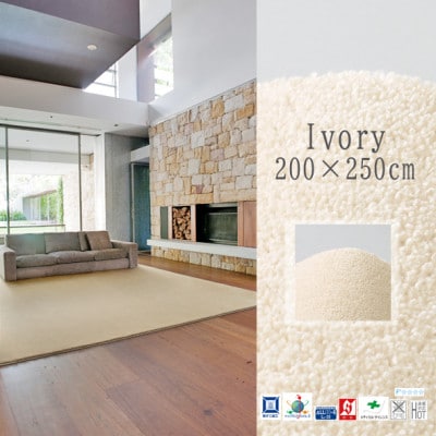 é«å¯åºŠ&çŽ è¶³ã«å¿å°ãããœããã¿ãã ã«ãŒããã (ãµããœããŒ)ã¢ã€ããªãŒã200Ã250cmãã1395788ã