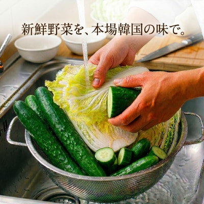 本場韓国の味!2種キムチ詰め合わせ(白菜・きゅうり)各2パック　国産野菜使用!無添加【配送不可地域：離島】【1732230】