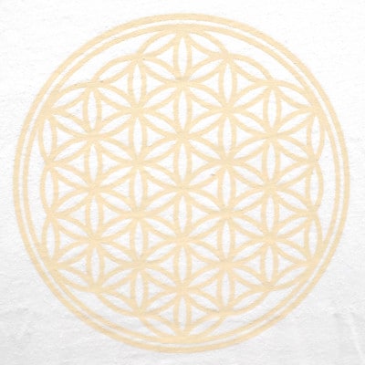 Tシャツ フラワー・オブ・ライフ 姫川薬石 ヘンプ生地 (半袖 Mサイズ)【1621242】