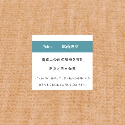 カーペット 日本製 抗菌防臭 犬 猫 ペット対応 ビオラ 176×261cm 江戸間 3畳 ベージュ【1519443】