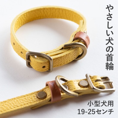 首輪 本革 イタリアンレザー イエロー 小型犬用 (19-25センチ)ペット用品【dc-01ss】【1661870】