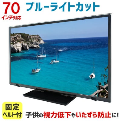 和泉市　70MBL5　70インチ用　テレビ画面保護パネル　ブルーライトカットタイプ  スペーサー付属【1669381】