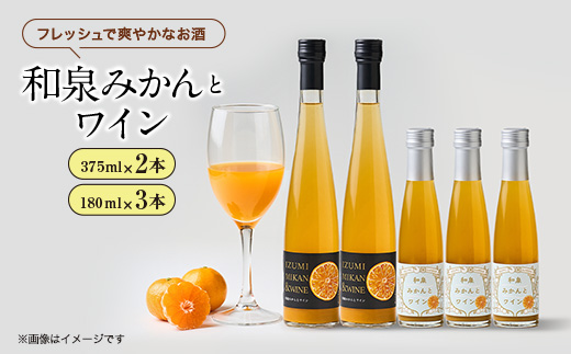 和泉みかんとワイン3本(180ml)と2本(375ml)セット【1498031】