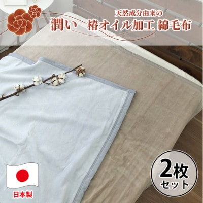 【2枚組】椿オイル加工 ふんわり綿毛布 シングルサイズ(140×200cm)CNM-101-2P【1526137】