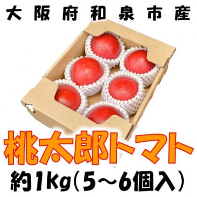 譯螟ェ驛弱ヨ繝槭ヨ 邏1kg(5縲6邇) 螟ァ髦ェ蠎懊蜥梧ウ牙クゅ驕薙ョ鬧縺縺壹∩螻ア諢帙ョ驥後宣埼∽ク榊庄蝨ー蝓滂シ夐屬蟲カ縲代1525132縲